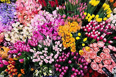 《恶意不息》有昼夜循环 战利品分白蓝紫黄四个等级